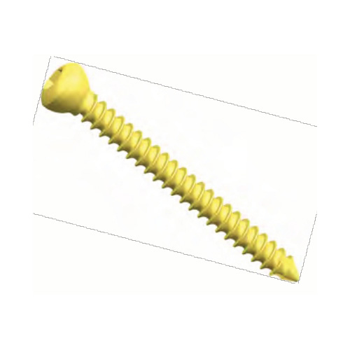 4.5 MM Cortical Screw Manufacturers in Delhi