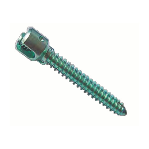 MINI Mono Axial Screw Manufacturers in Delhi