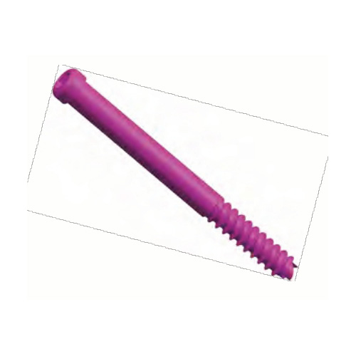 PFN Bolt Cannulated 8.0 MM (HEX) Manufacturers in Delhi